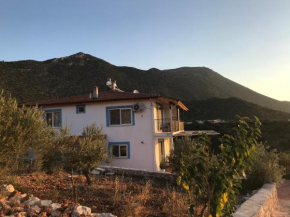 Üzüm iskelesi apart
